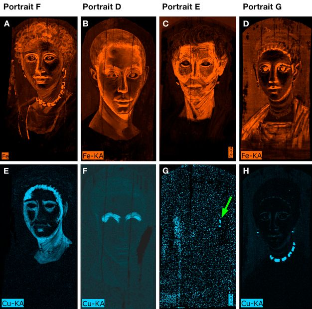 Panels A–D show iron distributions in warm orange tones, while panels E–H show copper distributions in cool blue tones in four portraits, organized in two rows with four images in each of them. Panel A (Portrait F) shows a portrait of a woman where iron pigments outline her face and adornments in bright orange. Panel B (Portrait D) is a portrait of a man where the contour of the face and facial features appear in bright orange. Panel C (Portrait E) is a portrait of  a man where the entire face is shaded in bright orange. Panel D (Portrait G) presents the portrait of a woman where the outline of her hairline, eyes, nose, lips, and the pleats in her clothing appear in bright orange. In the second row, Panel E (Portrait F) shows a concentrarion of fluorescent blue on the edges of the woman's face. Panel F (Portrait D) is mostly dark except for the man's eyebrows which appear in bright blue. Panel G (Portrait E) is mostly dark with scattered blue across and on a spot to the right indicated with a green arrow. Panel H (Portrait G) is mostly dark except for the woman's necklace and earrings which appear in bright blue.