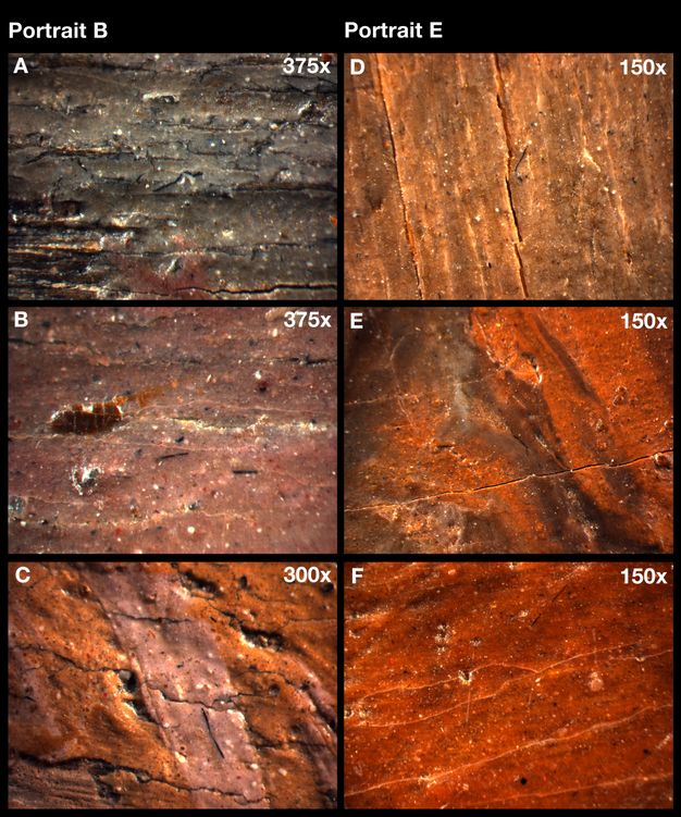 Photomicrographs of the paint surface of portraits showing the presence of black fibers embedded in the paint layer as well as surface irregularities and small particulate deposits across areas of dark brown, red, and orange paint. The images range from A through F and correspond to two portraits under 375, 300, and 150 magnification.