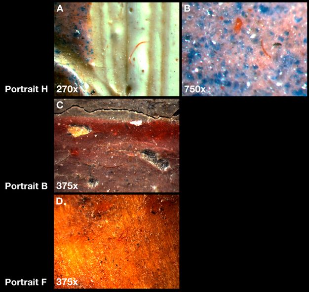 Photomicrographs of three portraits showing red fibers embedded in the paint layer. Image A is at 270 magnification and shows bright green and brown hues, with brown and specks of bright blue on the very left side. Image B is at 750 magnification and shows bright blue and muted pink hues, with specks of orange. Both Image A and Image B are from Portrait H. Image C is at 375 magnification and shows brown and red layers, with specks of yellow, white, and black. Image C is from Portrait H. Image D is at 375 magnification and shows orange hues with specks of red, black, and yellow. Image D is from Portrait F. 