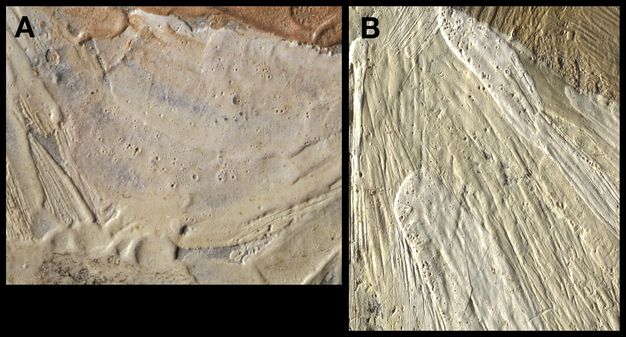 Two close-up images of the surface of two different portraits. In image A, there is a smooth area of paint with small craters. In image B, the texture reveals brushstrokes and there are craters.