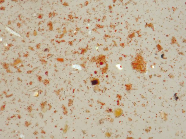 Magnified image of the bottom edge of the red tunic, showing a fine dusting of reddish powder dispersed throughout a light background with a few white and yellow crystals.