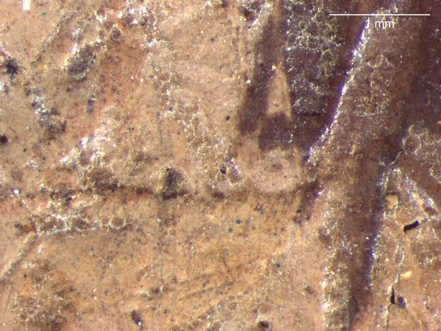 Close-up image of the paint surface of a portrait showing predominantly tan and brown colors as well as darker speckles.