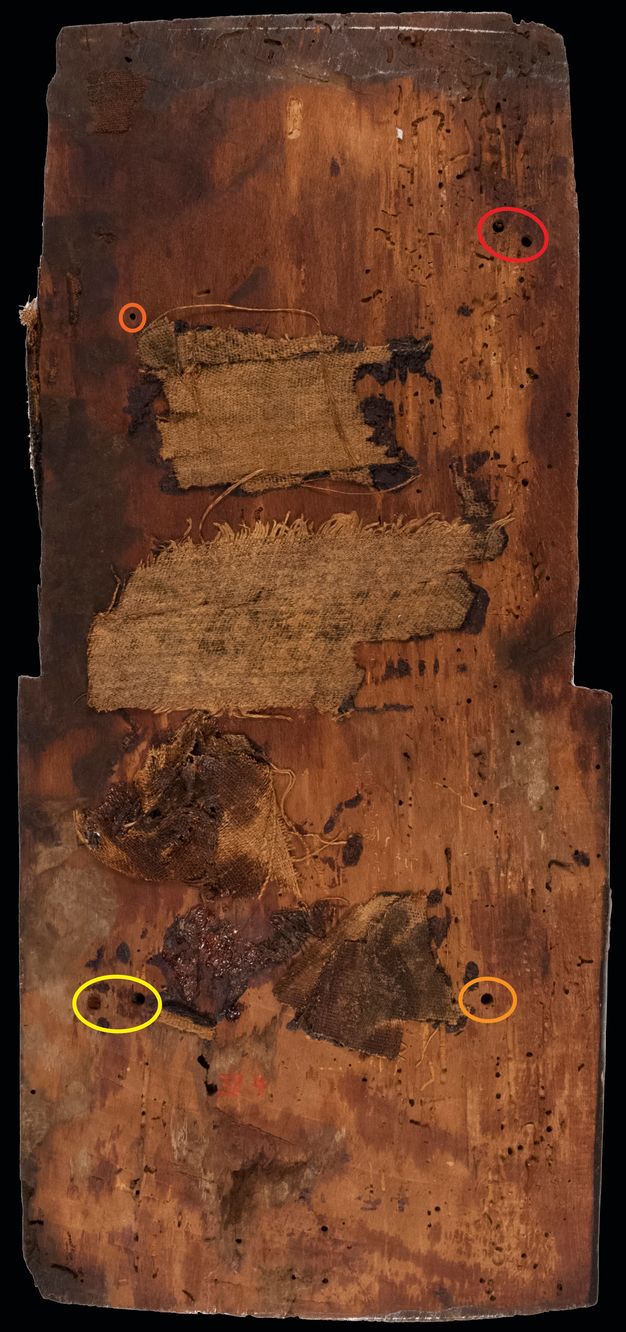 Backside of a mummy portrait showing drilled and filled holes indicated by colored circles, as well as smaller open insect tunnels. There are two drilled holes in the upper right, which are circled in red. On the upper left side is a hole circled in orange. There are two holes on the left side towards the bottom in yellow and one hole on the right in orange. A resinous coating and shroud fragments from the mummy wrapping can be seen on the surface. There are two drilled holes in the upper right, which are circled in red.