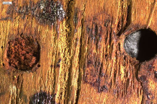 Magnified view of the back of a mummy portrait showing a smooth black circle on the far right side of the image and a textured brown circle to the left indicating the presence of a plugged and filled drill hole. The paint is textured with vertical brushstrokes.