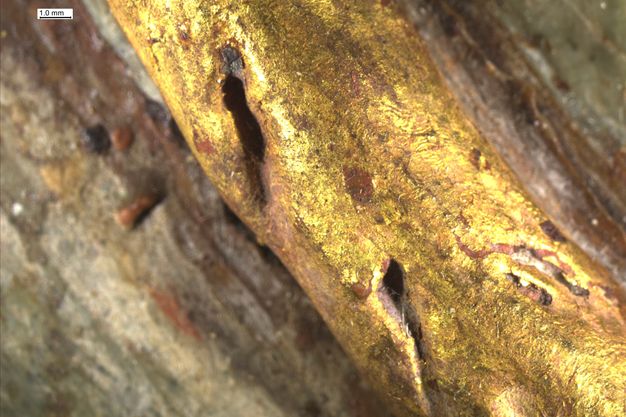 Magnified image of the golden necklace hoop of a pendant depicted on a portrait. The image shows a golden section with a relatively smooth texture. A 1 millimeter scale is included in the upper left corner.