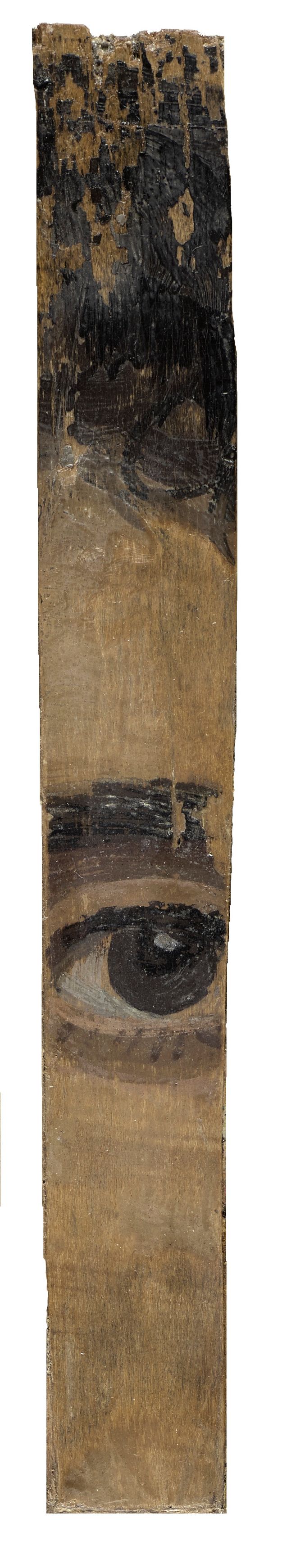 Single wooden board from a portrait featuring an individual's eye and eyebrow and, above, the hairline. Both the eye and the hair are dark.