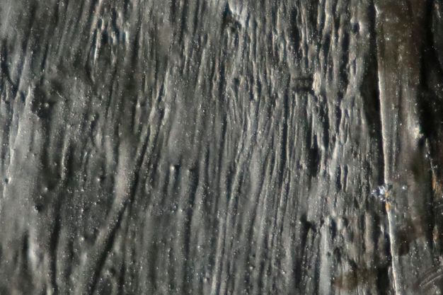 View under the microscope of the paint surface of a portrait showing raised white dots on the surface of the gray background. The wood texture of the panel is visible.
