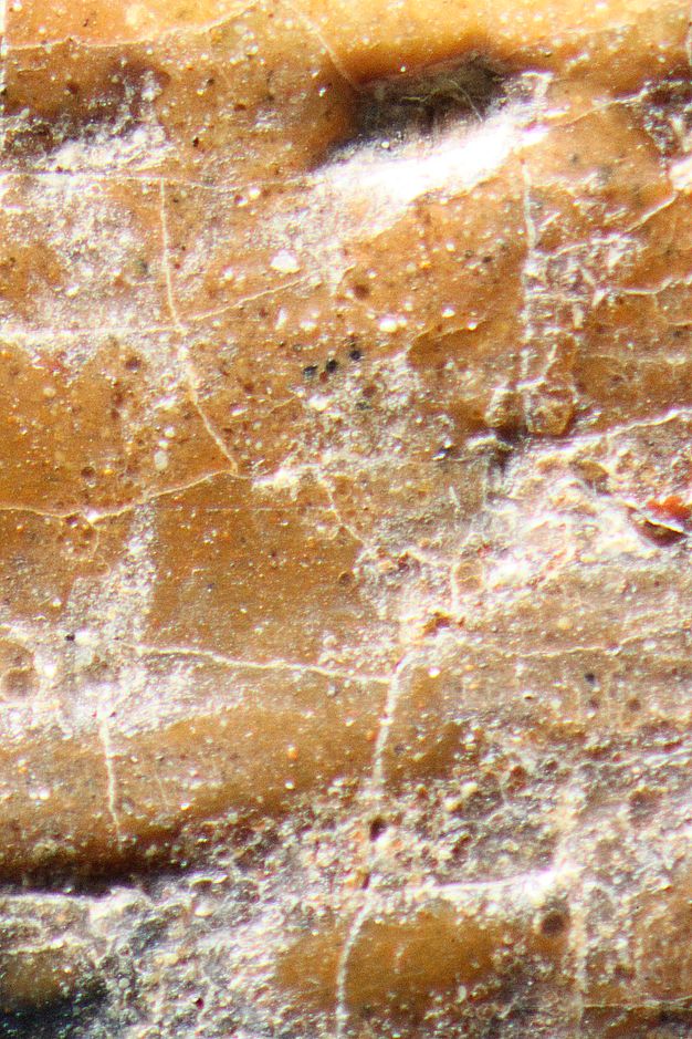 Magnified image of the paint surface of a portrait showing cracked paint and irregular clusters of white deposits. 