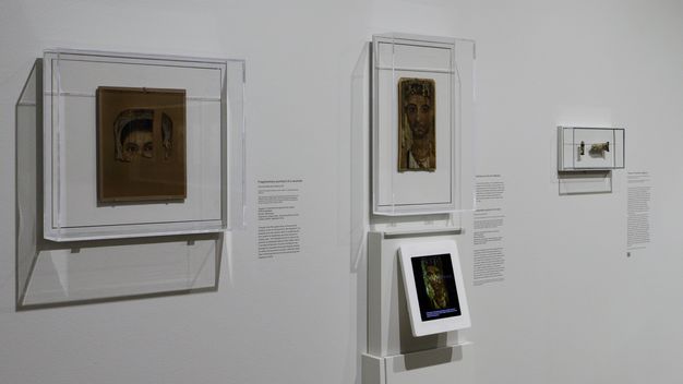 Photo of funerary portrait installation at Harvard Art Museums. There are two portraits behind glass and a tube of paint to the far right. Below the complete portrait in the middle is a small information screen. All that remains of the portrait on the left are the eyes and hair, and a panel is missing on the right side.