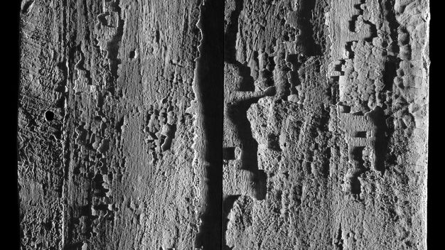 Detail image in black and white showing the panel's state of preservation. The surface shows widespread cracking and is very textured.