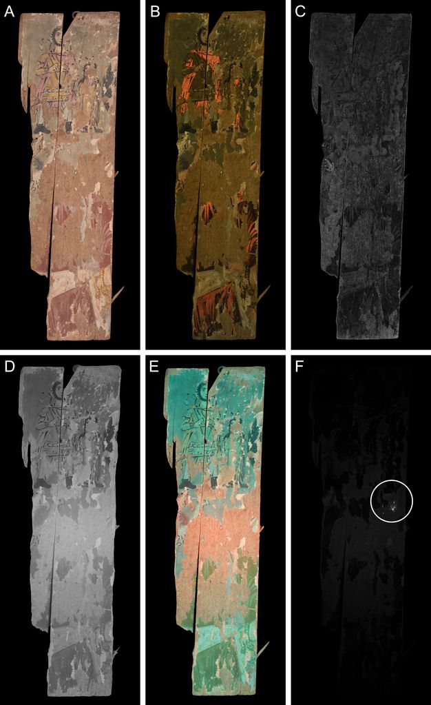 Multiband imaging of panel ÆIN 711 rendering a female bust, a winged griffin, and two minor divinities. Panel A uses VIS imaging to show the UV-induced orange fluorescence in the folds of the pink garment in the lower register. Red also shows in the red mantle and parts of the headgear of the armed god and the tunic of the neighboring smaller female figure to the right of the upper register. In Panel B, which uses UVF imaging, these reds show up as a bright orange, and there is a whitish fluorescence in areas of paint loss. Panel C uses MBR imaging and shows the griffin's wings in light gray. Panel D uses IRR imaging, enhancing the contrast of the black line drawing, which defines the two smaller figures in the upper half of the panel. Image E uses FCIR imaging, and the griffin's wing is more apparent because of its false red color. The VIL imaging in panel F shows a cluster of white near the middle-right side of the panel. 