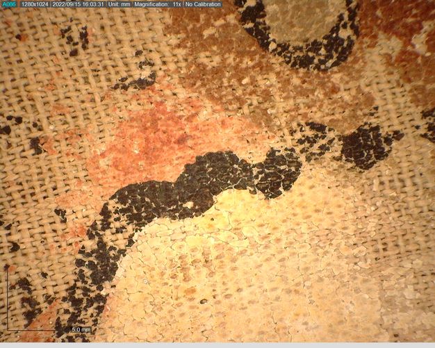 Detail of the brown discoloration of a red-pink area of paint of the Osiris shroud. The weaving is visible underneath the brown and red-pink areas. 