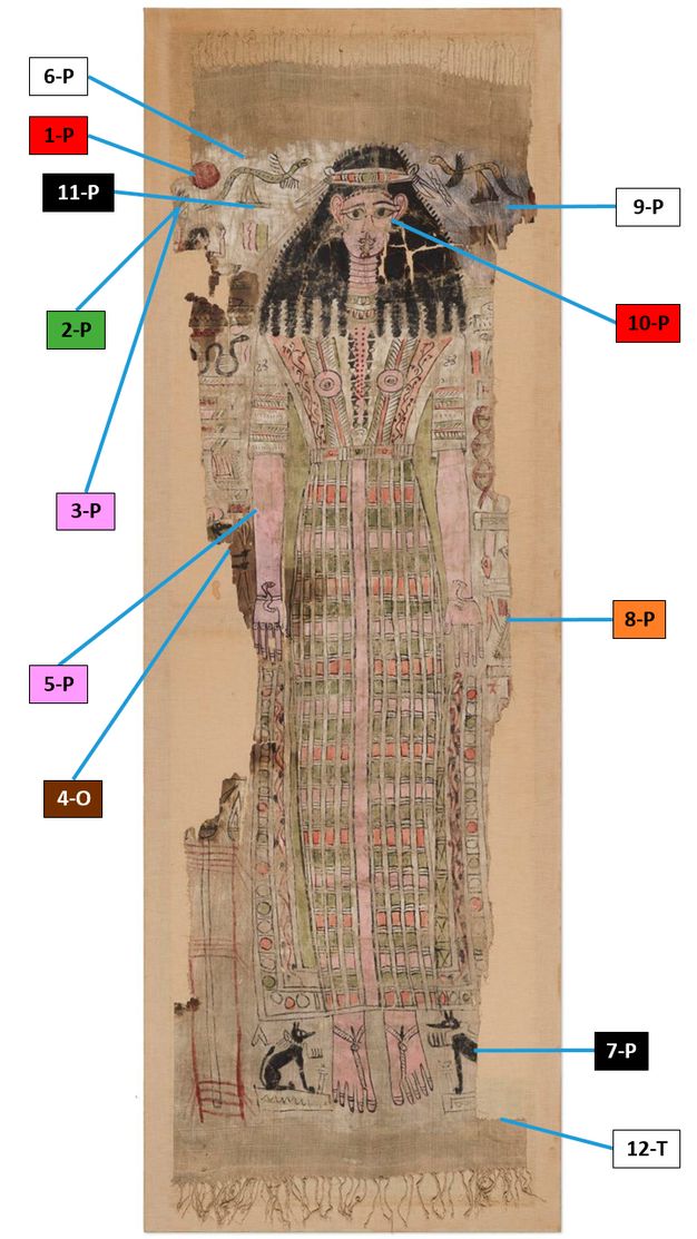 The Hathor shroud with color-coded sample number labels and material suffixes. P is short for paint, T for textile, and O for other. Label 6-P points to the white background at the top of the shroud, below the fringe. 1-P points to a red circle in the upper left corner. 11-P points to the feet of a winged snake. 2-P and 3-P point to vegetation below the red circle. 5-P points to Hathor's proper right arm. 4-O points to the brown stain on the left side of the shroud where part of the textile has been lost. 9-P points to the grayish background in the upper right part of the shroud. 10-P points to Hathor's face. 8-P points to the remains of a symbol or shape to the right of Hathor's hand on the right edge of the shroud. 7-P points to the jackal in the right bottom corner. 12-T points to the textile below the jackal.