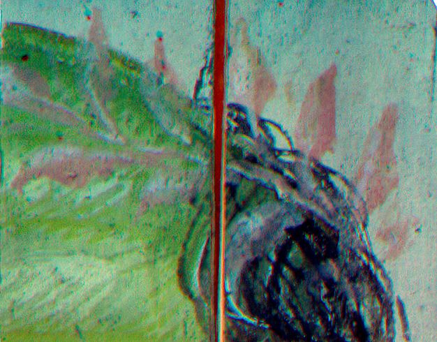 IRRFC close-up image of the older man's wreath in figure 5.3. The skin appears green and the wreath is a light red.