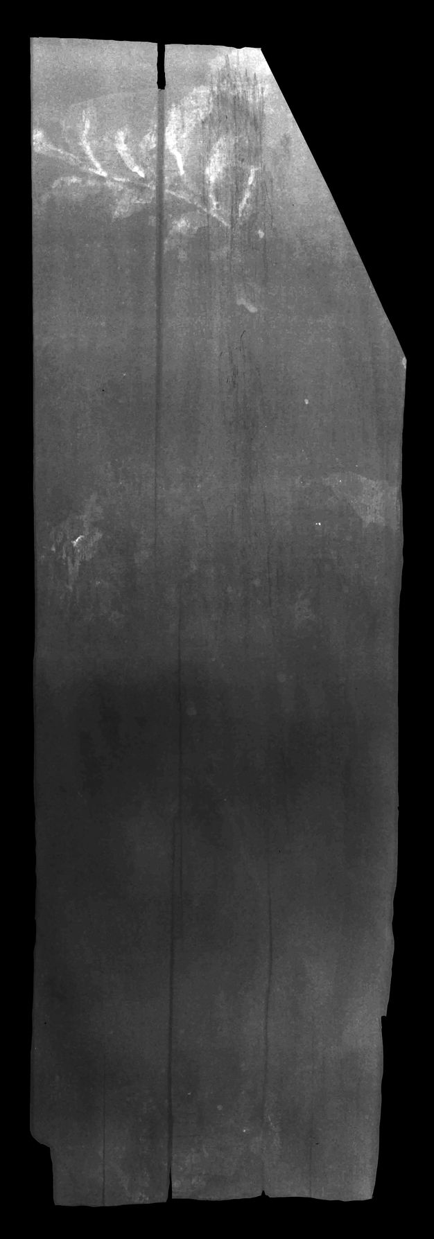 Radiograph of figure 5.3. The lead-based pigment used in the man's wreath appears white. The rest of the painting is gray in this imaging and his face is not visible.