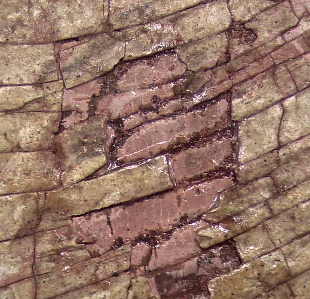 Microscopic detail of the proper right cheek on figure 5.2 showing regular cracks on the paint surface, which features pink and tan colors over a brown ground.