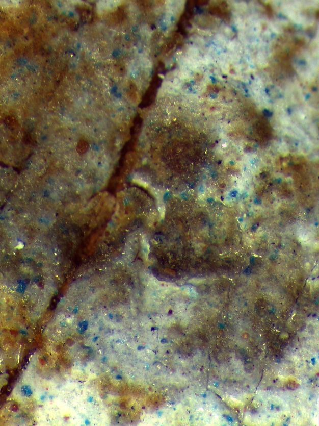 Microscopic detail showing the Egyptian blue particles in the white necklace bead in figure 5.2. The image is mostly white, with specks of blue scattered all over the surface. 