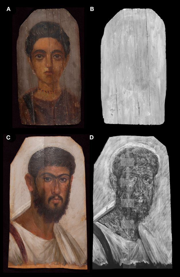 Two portraits shown under normal lighting conditions and as X-radiographs. Image A shows the portrait of a woman. The woman's hair and eyes are dark brown. Her hair sits on top of her head, and her skin is tan in color. Her lips and eyelids have a pink tint. She is wearing white, hoop-shaped earrings and a multi-color necklace. On the upper-half of her body, she is wearing a brown garment. The background of the portrait is gray in color. Image B is the X-radiograph of Image A. The X-radiograph is completely grey, only showing a faint outline of the woman. Image C shows a mummy portrait of a man. The man's eyes, hair, and facial hair are brown, and is skin is tan in color. He has thick eyebrows and a full beard. The upper half of his body shows a white garment with brown detailing on the left side. The background of the portrait is white in color. Image D is the X-radiograph of Image A. The X-radiograph is completely grey, and the man is outlined in a darker hue. The man is visible in the darker hue, and his facial features are easy to make out. 