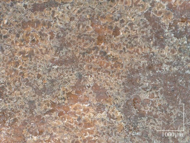 Magnified surface detail of mummy portrait. The paint appears scaley and yellowed.