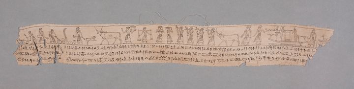 Linen fragment showing a long, continuous illustration above three lines of text. The illustration shows people in profile walking with bulls and other animals.