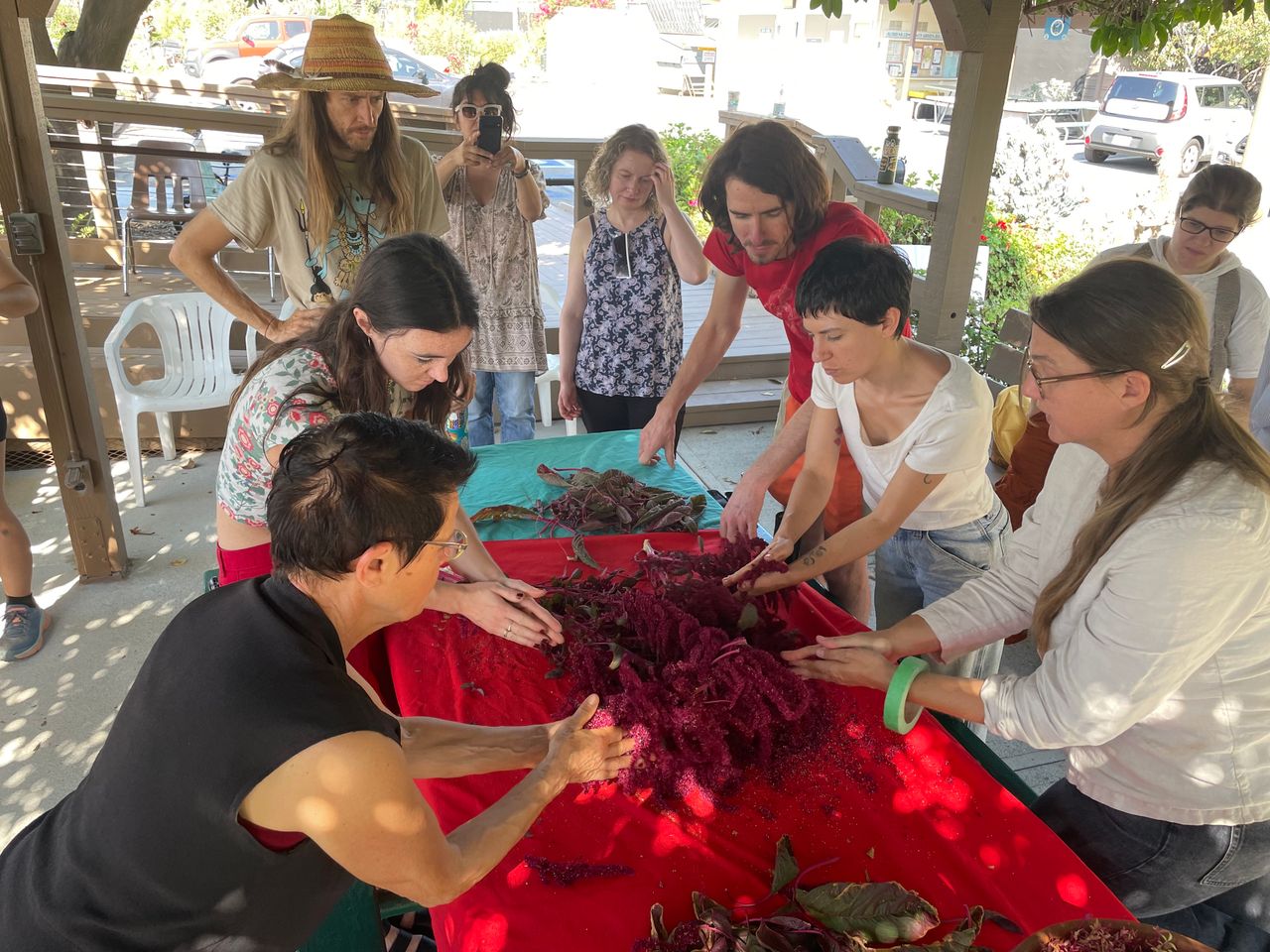 People gathered around a table with a red tablecloth touching leaves and deep red plants in an outdoor setting.