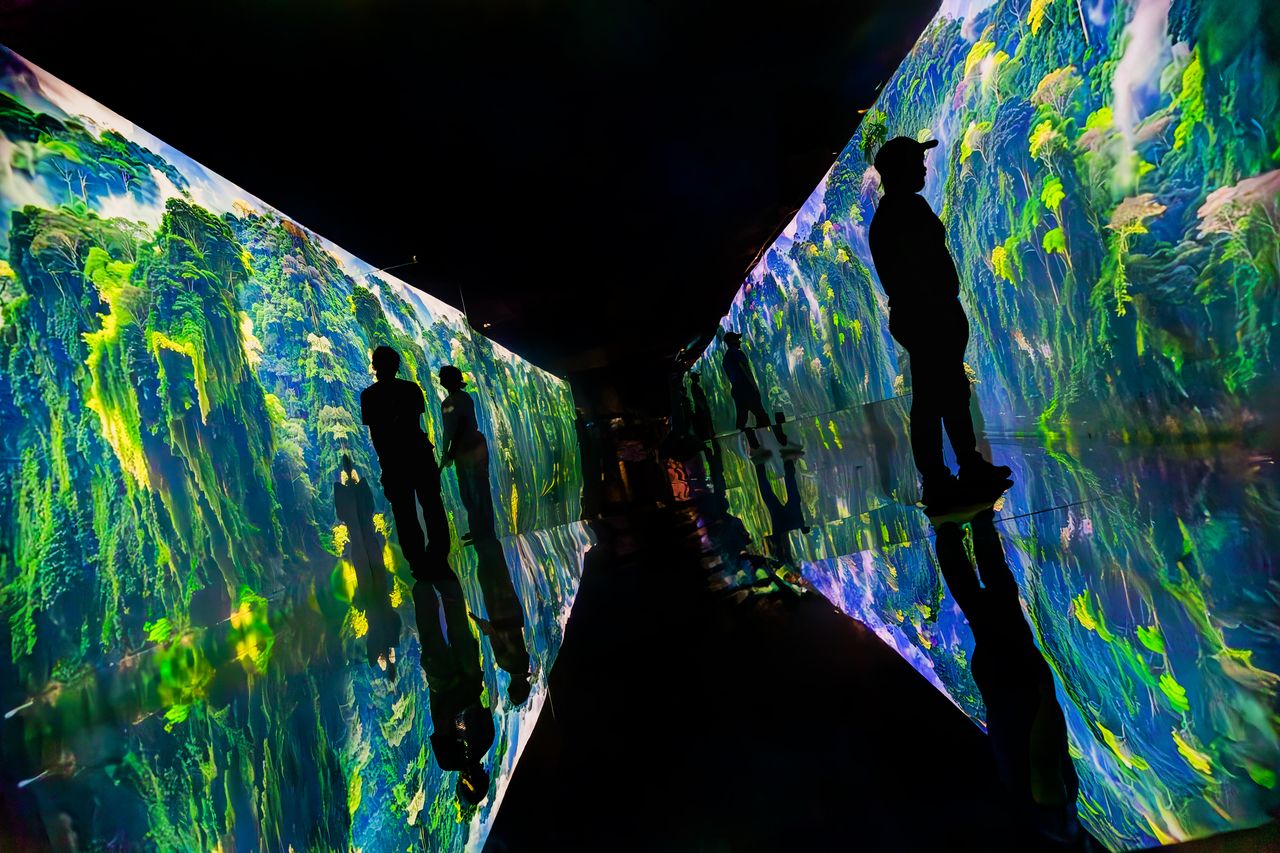 Slanted photo of silhouettes of people looking at wall to wall screens of green and blue foliage.