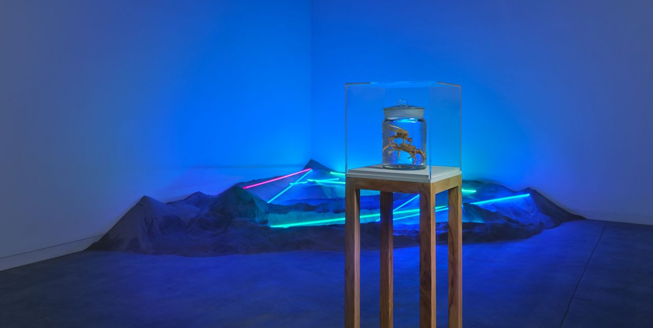 Futuristic art installation featuring a mechanical crab-like sculpture in a glass case and illuminated terrain with neon lights in a dark, blue-lit gallery space.