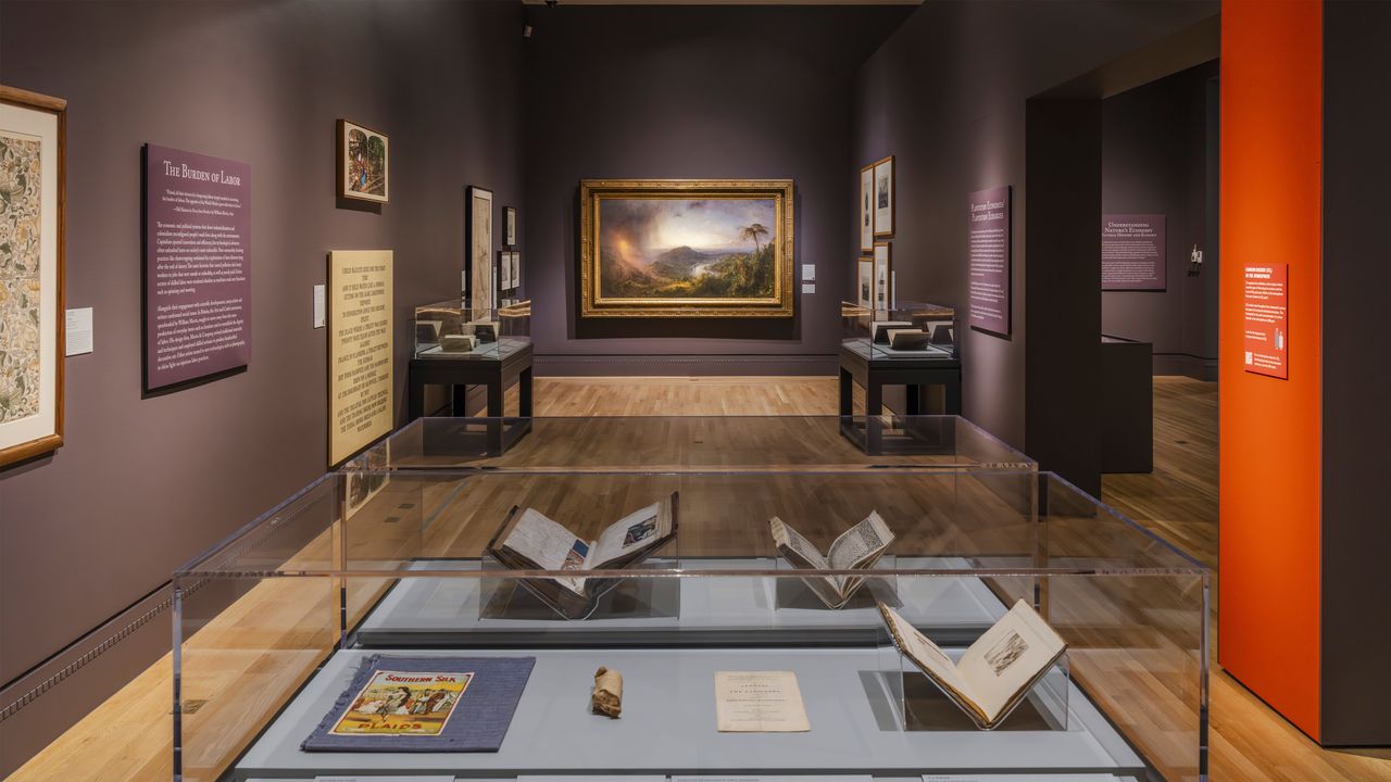 View inside a gallery space with purple walls, framed artwork of nature on the walls, and transparent display cases with open books and objects inside.