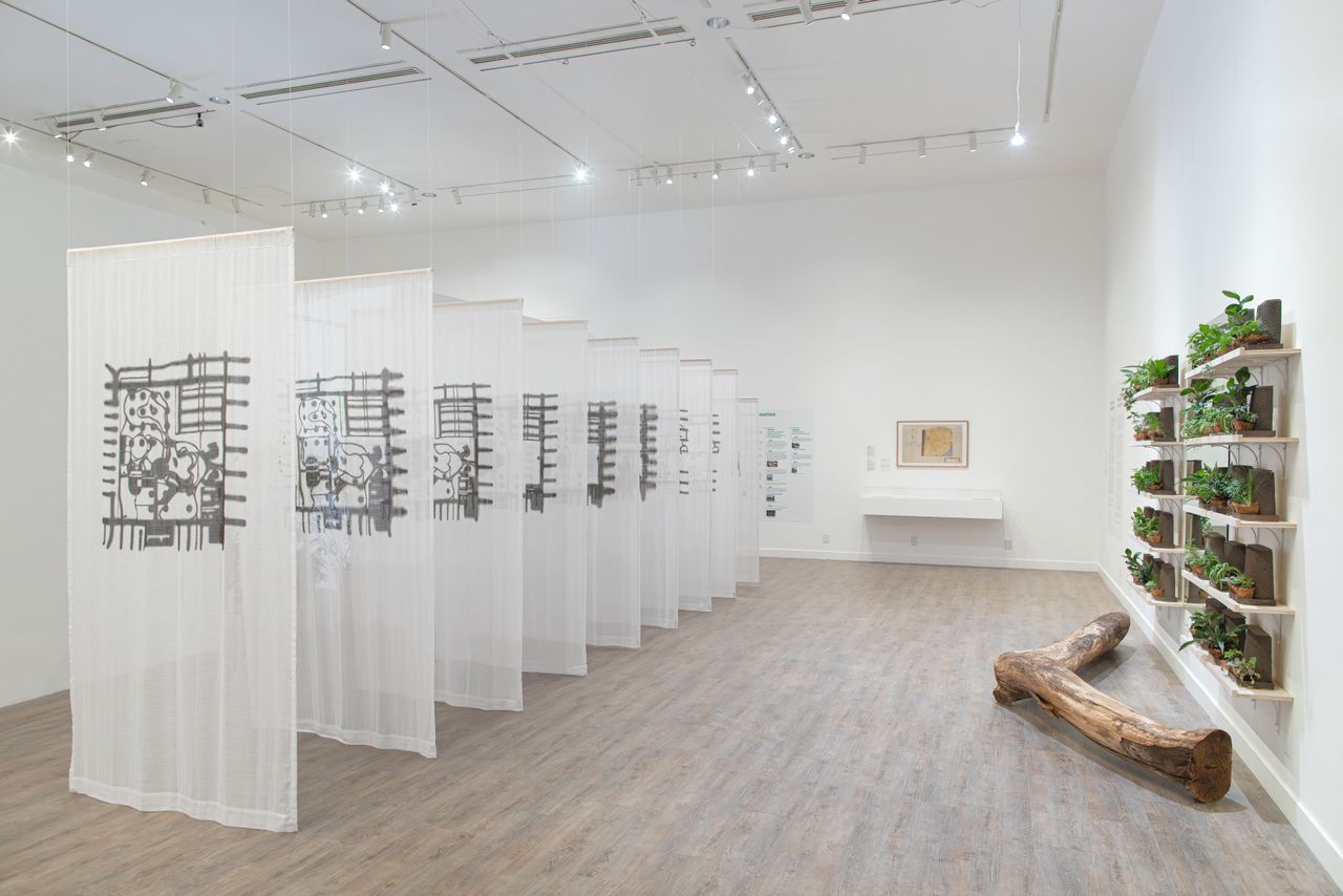 Indoor gallery space featuring sheer fabric with black patterns hanging from the ceiling, plants on shelves along one wall, and a log on the floor.