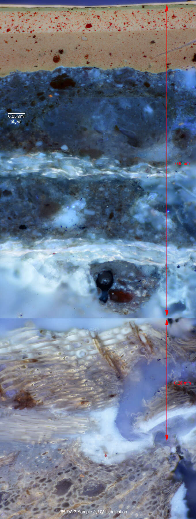 composite cross-section photomicrograph revealing the multi-layer structure of the lacquer under UV light, with strips of green, off-white, tan, dark blue, light blue, and white