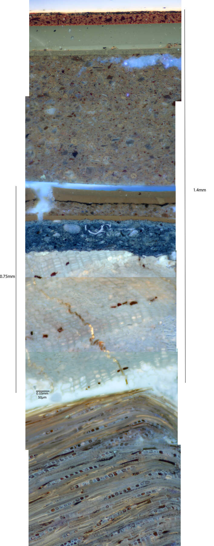 composite photomicrograph of the multilayer lacquer, revealing at least 11 layers of lacquer in shades of red, beige, brown, blue, and white in various speckled and striated patterns