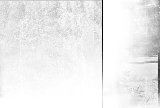 A black-and-white photo featuring grainy whiteness. A single gray line bisects the frame on the right.