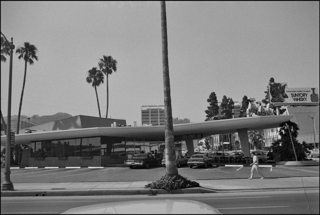A black-and-white photo features a street scene with one palm tree bisecting the frame. A long, horizontal building framed by palm trees is in the background.