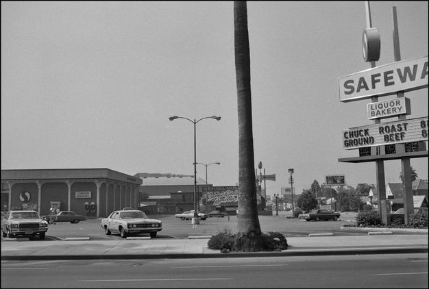 A black-and-white photo features a street scene and a palm tree bisecting it in the foreground. A large parking lot extends and several buildings are in the background.