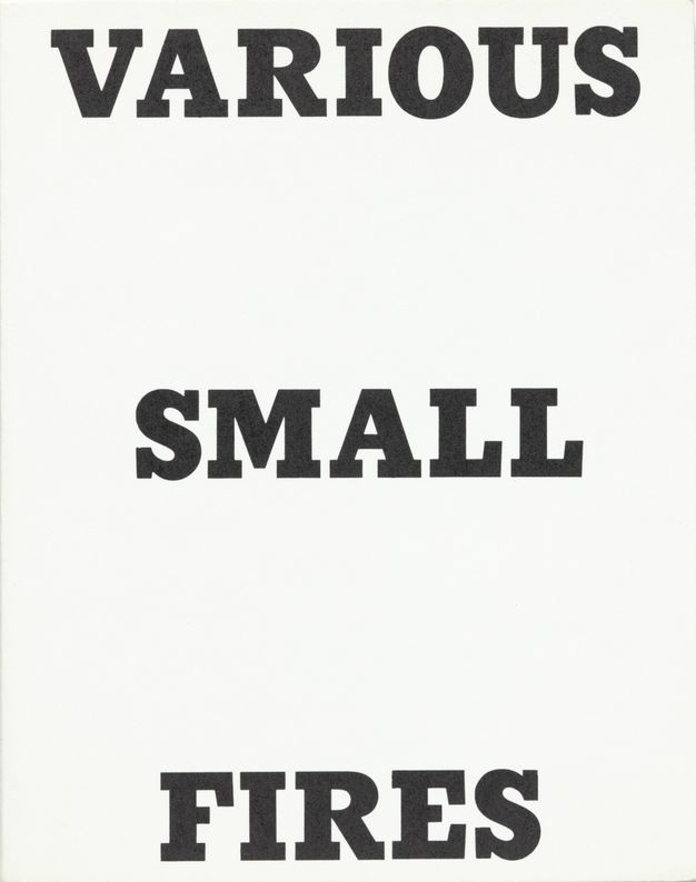 The cover of a white book includes the black capitalized text “Various Small Fires.” Each of the three words occupies its own line, spaced evenly from top to bottom of the white cover.