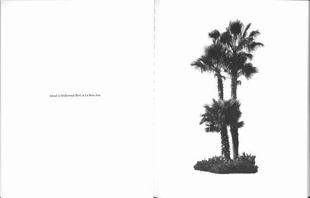 A two page spread of a book featuring text on the left page and a black-and-white photo of three palm trees on the right page.