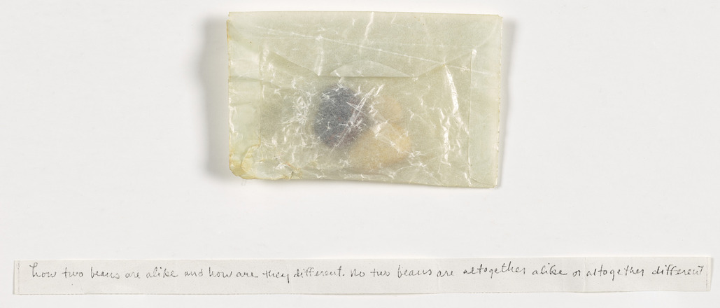 Clear plastic pouch with paper fragment containing handwritten pencil text “how two beans are alike and how are they different. no two beans are altogether alike or altogether different.”, and two beans, one white, one black, in white semi-translucent pouch.