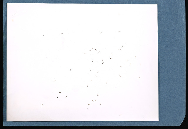 White page with short, uneven line segments placed sparsely throughout. Otherwise, blank.