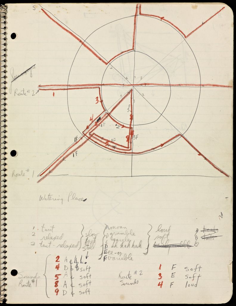 Lined page in spiral notebook, the top half containing a black pen radial diagram annotated with red off-shooting lines, letters, and numbers. On the bottom half is several short numbered lists with single English language adjectives, the words soft and loud most prominent.