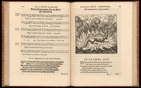An open book with musical notation on the left and a salamander sitting unharmed in the flames of a bonfire on the right