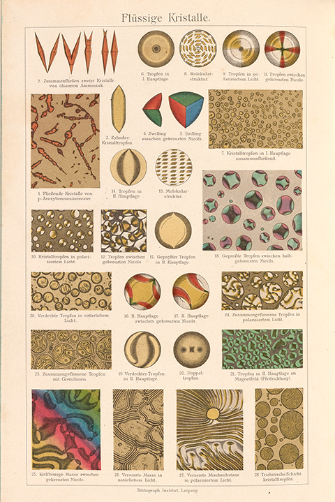 Microscopic observations of liquid crystals with annotations in German 