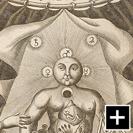 The Body as Alchemical Laboratory (detail), 1738