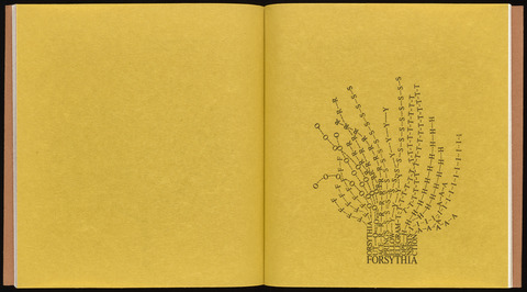 Open book with the letters "F," "O," "R," "S," "Y," "T," "H," "I," and "A" forming an image of a forsythia plant on the right-hand page. 