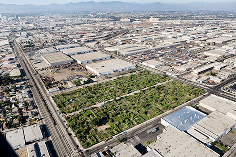 A color photograph shows an aerial view of the Trench, a shipping corridor that cuts through Los Angeles. 