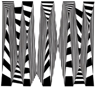 Diez / Estructura optica