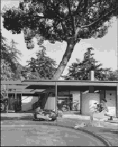 Shulman/Bass Residence