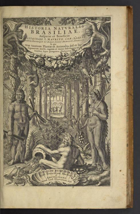a page with engraved image from Historia natvralis Brasiliae by Willem Piso