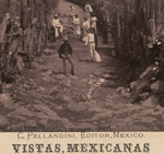 Briquet and Pellandini, Camino del calvario en Ayotla, 1883-1895 (96.R.142)