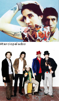 Aterciopelados and Los Pinguos