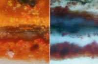 Cross-section of paint from the Scotland cabient